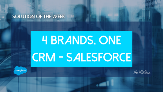 4 Brands, One CRM: Mastering Salesforce Integration for Business Synergy